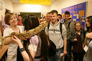 (13).JPG